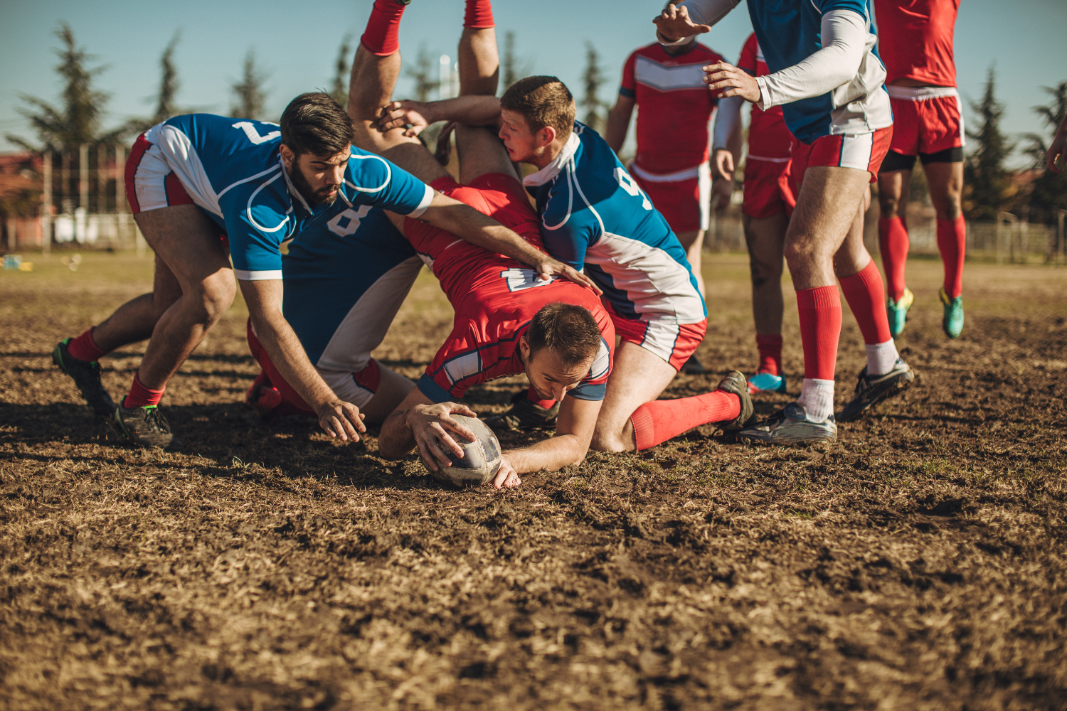 Vegas Knights Rugby Team